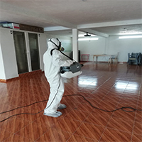 client image 4
