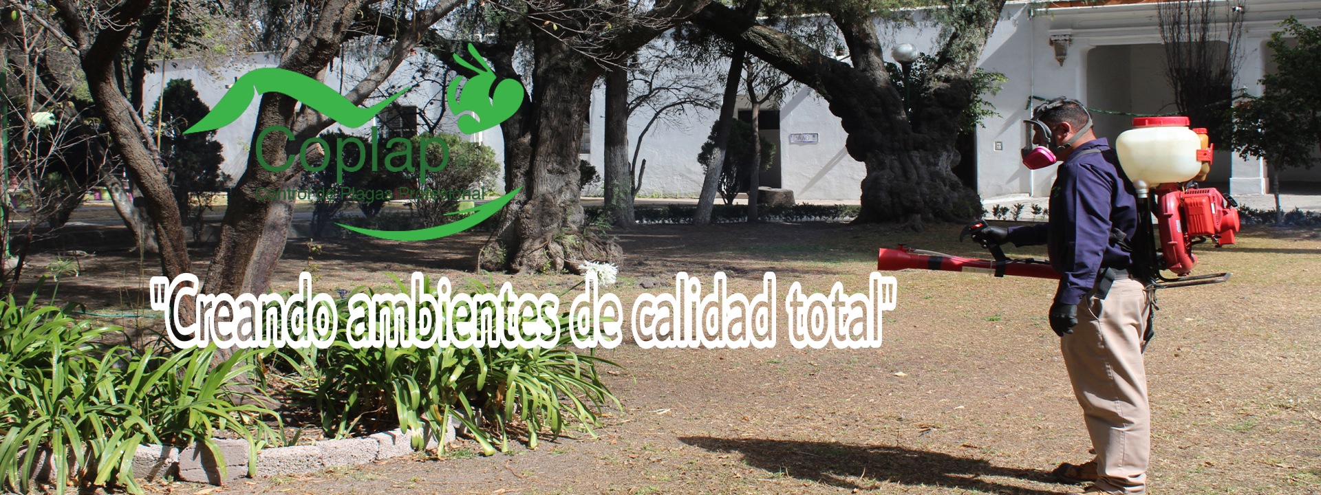 slide 5